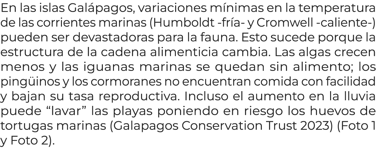 En las islas Gal pagos, variaciones m nimas en la temperatura de las corrientes marinas (Humboldt -fr a- y Cromwell -...