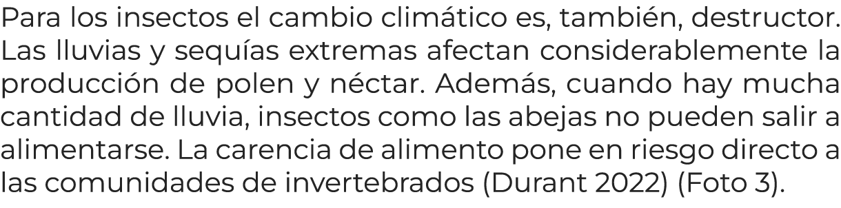 Para los insectos el cambio clim tico es, tambi n, destructor. Las lluvias y sequ as extremas afectan considerablemen...