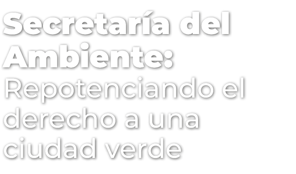 Secretar a del Ambiente: Repotenciando el derecho a una ciudad verde