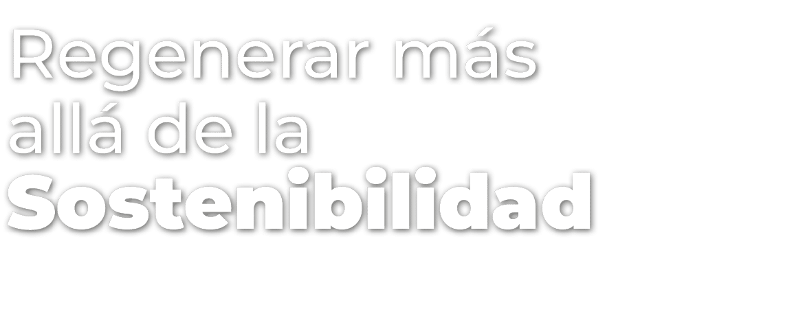 Regenerar m s all de la Sostenibilidad