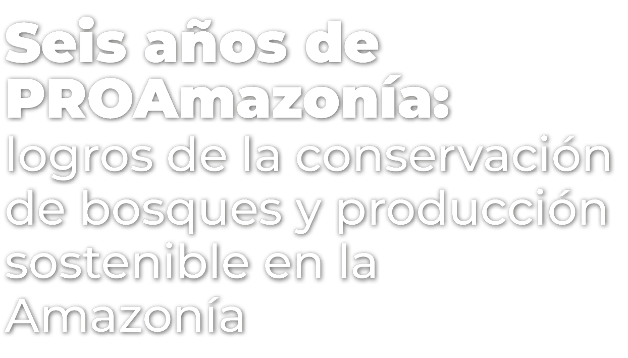 Seis a os de PROAmazon a: logros de la conservaci n de bosques y producci n sostenible en la Amazon a