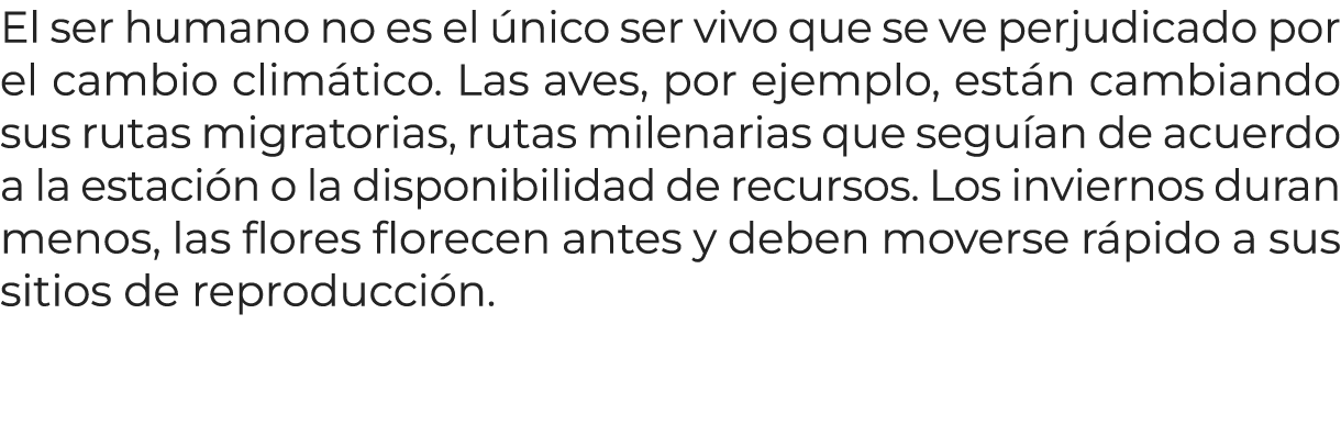 El ser humano no es el nico ser vivo que se ve perjudicado por el cambio clim tico. Las aves, por ejemplo, est n cam...