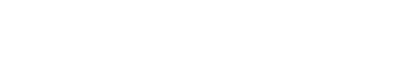 Directora Ejecutiva FUNDACI N ECOGESTI N