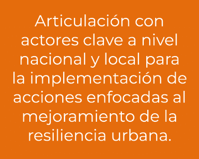 Articulaci n con actores clave a nivel nacional y local para la implementaci n de acciones enfocadas al mejoramiento ...