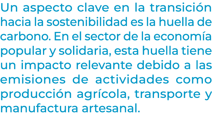 Un aspecto clave en la transici n hacia la sostenibilidad es la huella de carbono. En el sector de la econom a popula...