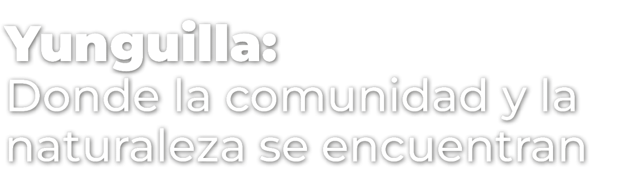 Yunguilla: Donde la comunidad y la naturaleza se encuentran