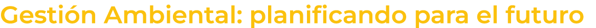 Gesti n Ambiental: planificando para el futuro