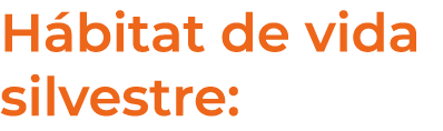 H bitat de vida silvestre: