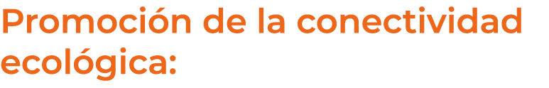 Promoci n de la conectividad ecol gica: 
