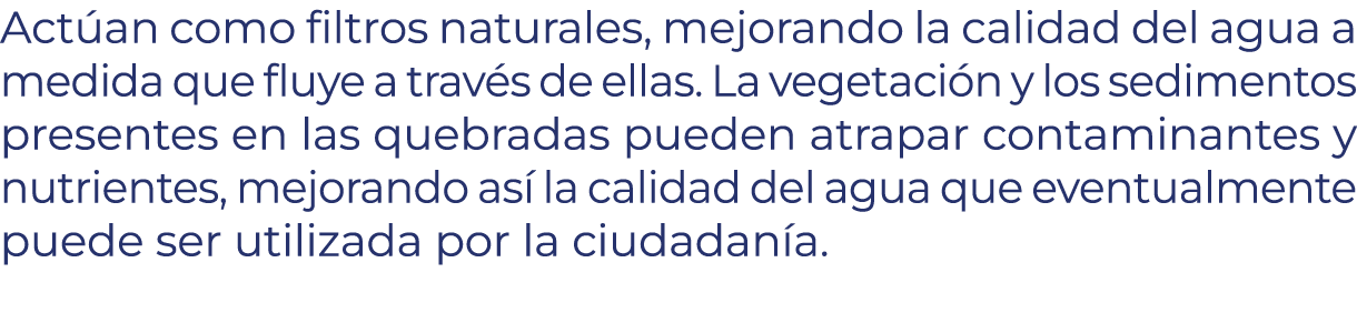 Act an como filtros naturales, mejorando la calidad del agua a medida que fluye a trav s de ellas. La vegetaci n y lo...