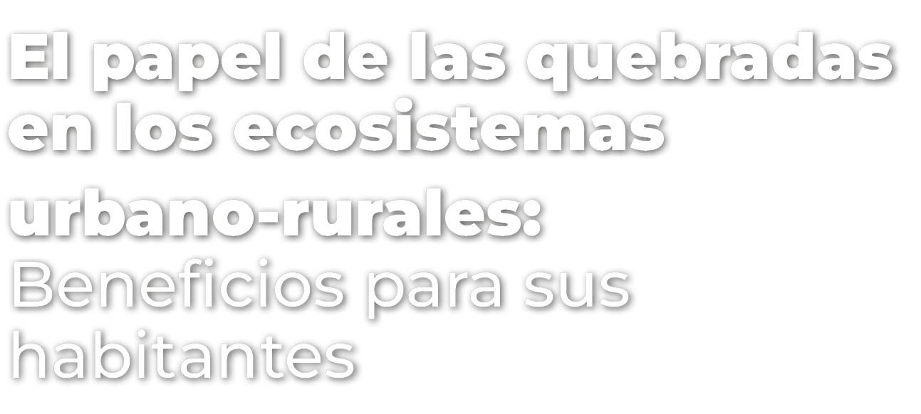El papel de las quebradas en los ecosistemas urbano-rurales: Beneficios para sus habitantes