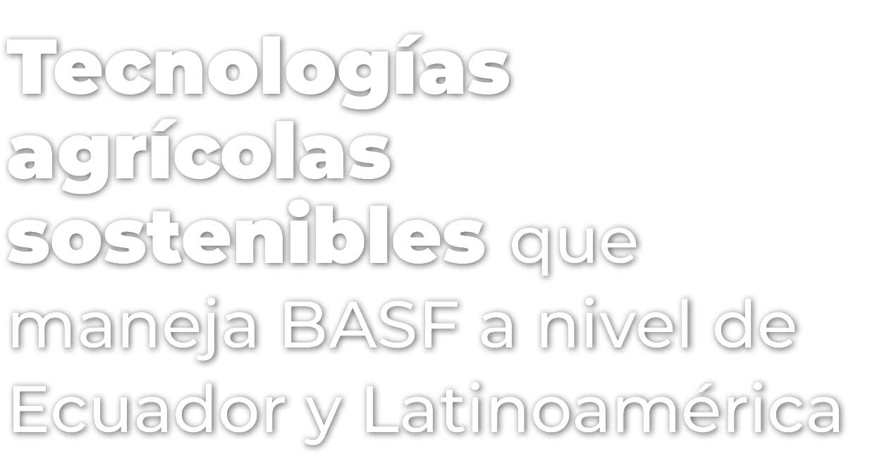 Tecnolog as agr colas sostenibles que maneja BASF a nivel de Ecuador y Latinoam rica