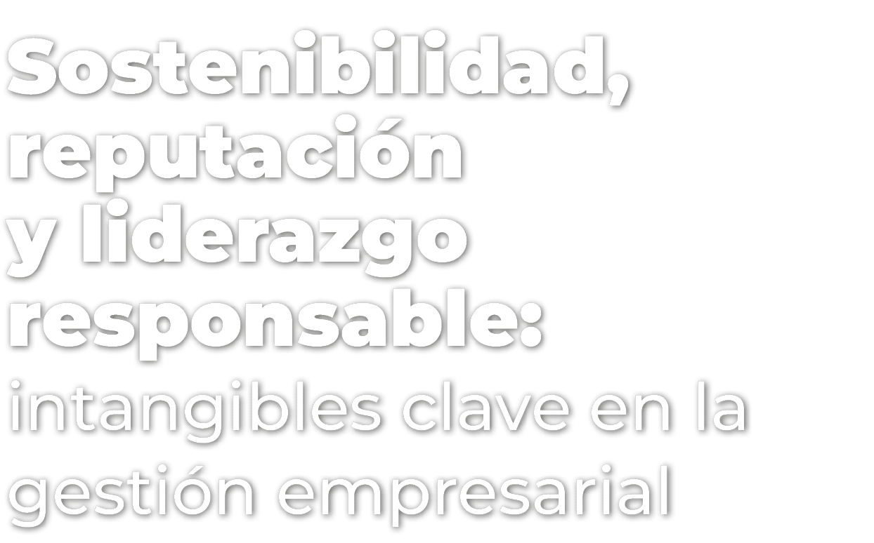 Sostenibilidad, reputaci n y liderazgo responsable: intangibles clave en la gesti n empresarial