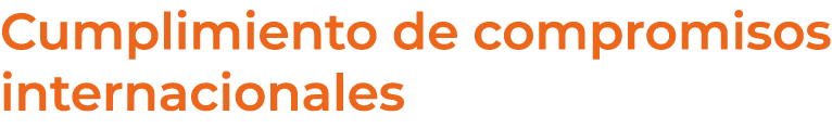 Cumplimiento de compromisos internacionales