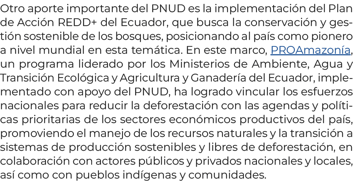 Otro aporte importante del PNUD es la implementaci n del Plan de Acci n REDD+ del Ecuador, que busca la conservaci n ...