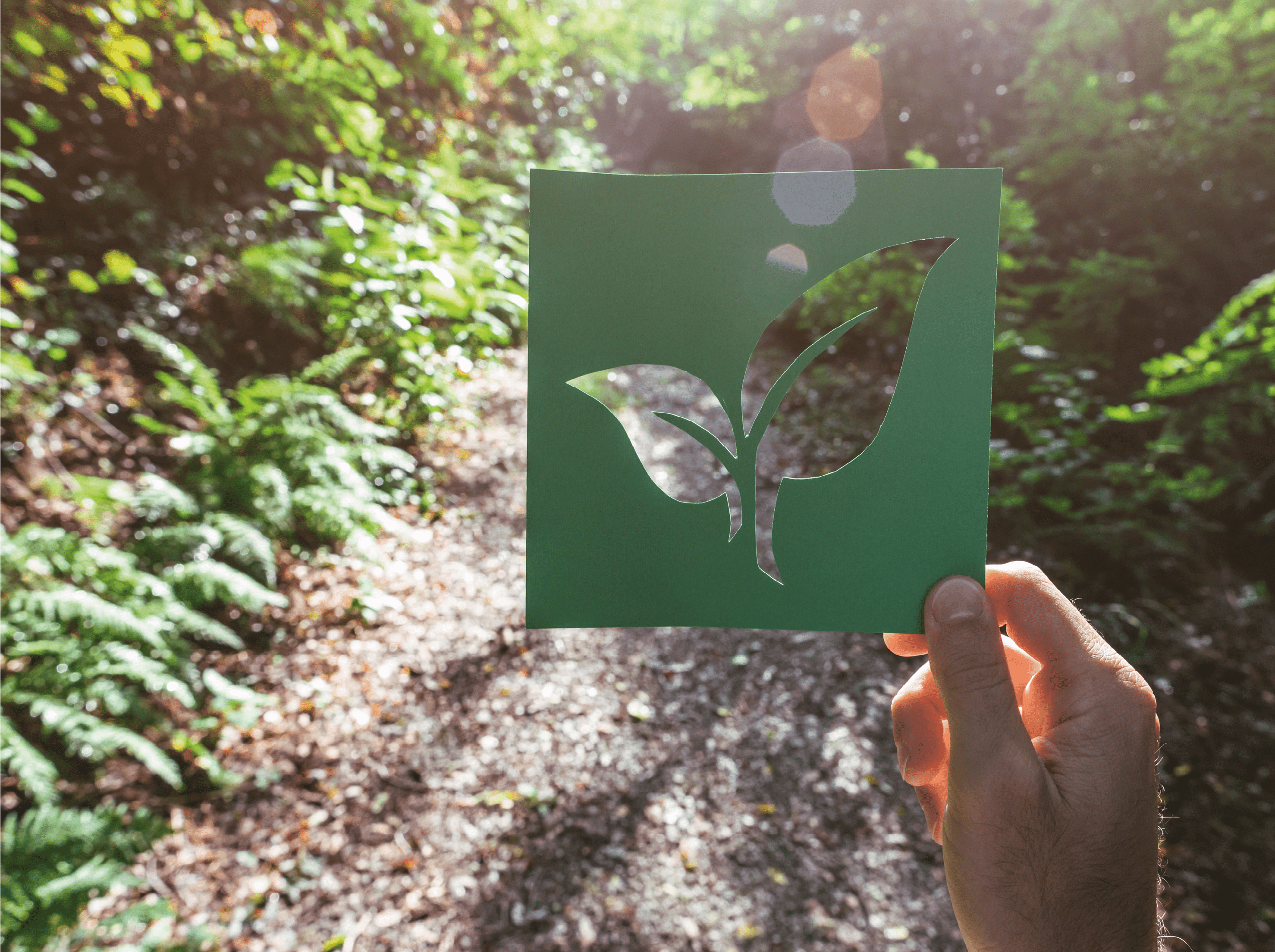 Hand holding eco friendly green living symbol 