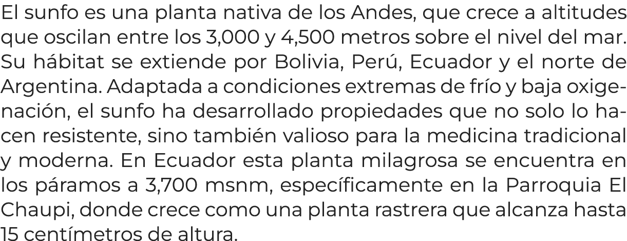 El sunfo es una planta nativa de los Andes, que crece a altitudes que oscilan entre los 3,000 y 4,500 metros sobre el...