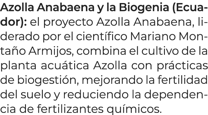 Azolla Anabaena y la Biogenia (Ecuador): el proyecto Azolla Anabaena, liderado por el cient fico Mariano Monta o Armi...