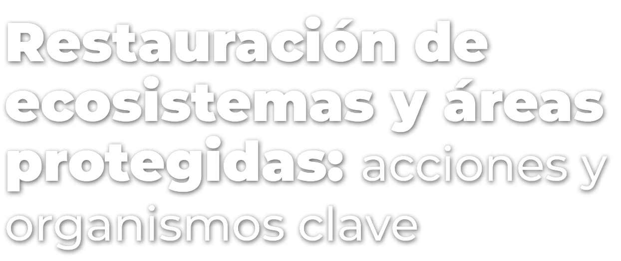 Restauraci n de ecosistemas y reas protegidas: acciones y organismos clave