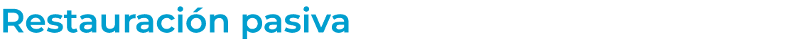 Restauraci n pasiva