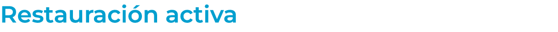 Restauraci n activa