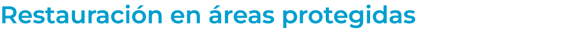 Restauraci n en reas protegidas