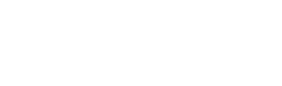 Directora Ejecutiva ECOGESTI N
